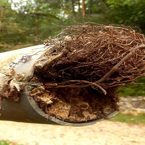 root-removal-with-hydro-jetting-lonehill